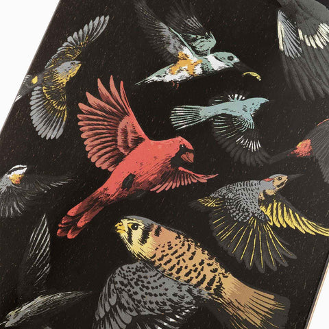 STRATUS 46 SANCTUARY